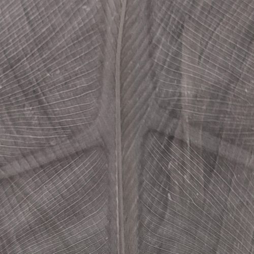 Zuggeist (Harmonic Mix)