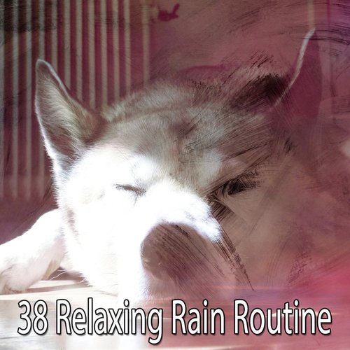 38 Relaxing Rain Routine_poster_image