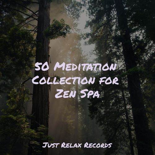 50 Meditation Collection for Zen Spa_poster_image