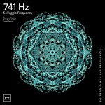 741 Hz Full Body Detox