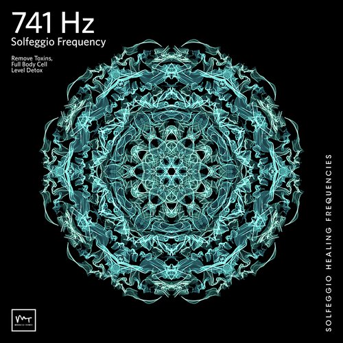 741 Hz Full Body Detox_poster_image