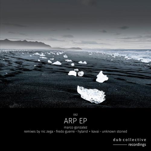 Arp (Nic Zega Remix) cover art