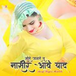 सोते जागते तू नासीर आवे याद