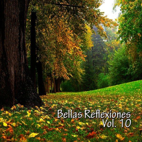 Bellas Reflexiones, Vol. 10