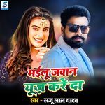 Bhailu Jawan Use Kare Da