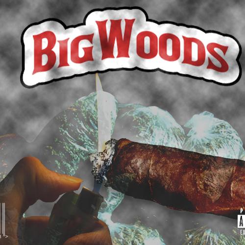 Big Woods (feat. Domo)