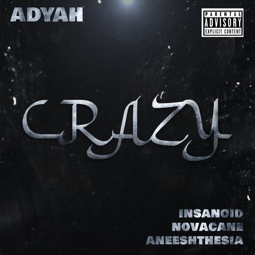 Crazy (feat. Insanoid & Novacane) (Remix)