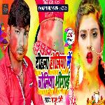 DIHLA HOLIYA MEI CHOLIYA BHIGAI