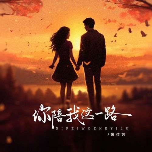 你陪我这一路 (DJ版)_poster_image