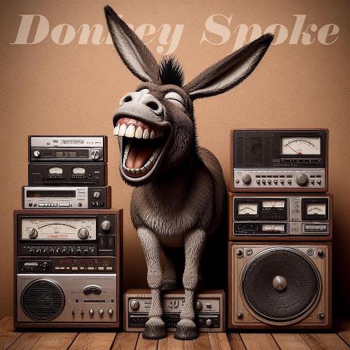 donkey cover art