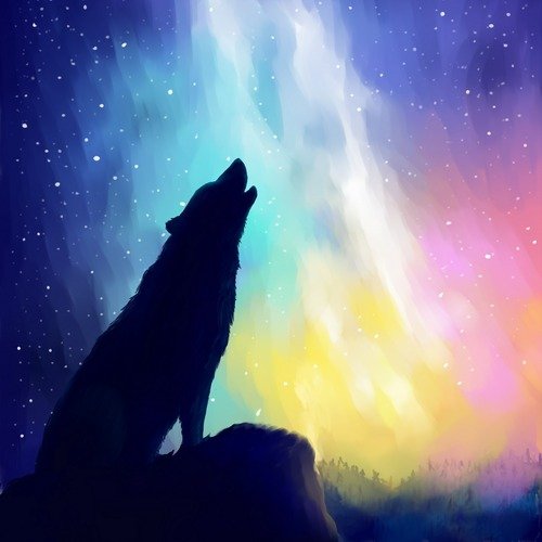 Dream