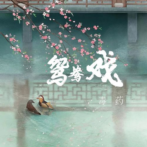 鸳鸯戏 (焱焱dzremix伴奏) cover art