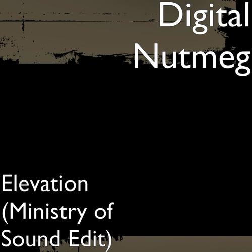 Digital Nutmeg