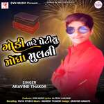 Godi Tare Petiyu Mongha Mulni