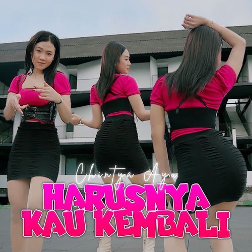 Harusnya Kau Kembali cover art
