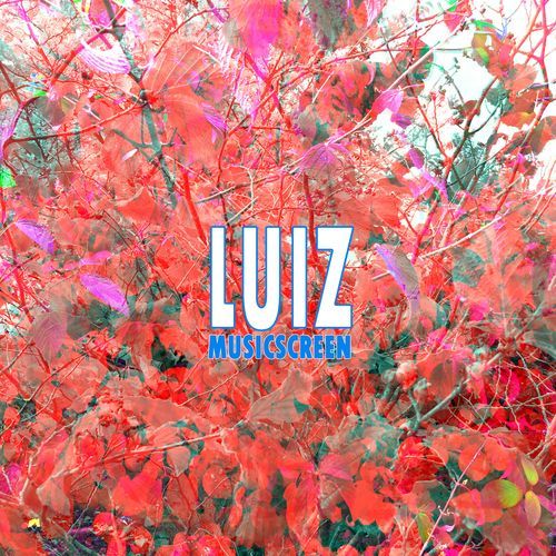 Luiz cover art
