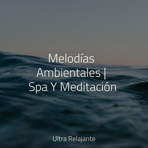 Melodías Ambientales | Spa Y Meditación_poster_image