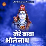 Mere Baba Bholenatha