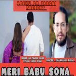 Meri Babu Sona