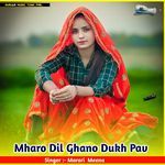 Mharo Dil Ghano Dukh Pav