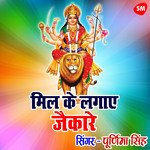 Mil Ke Lagaye Jaikare Maiya Tere  Dware