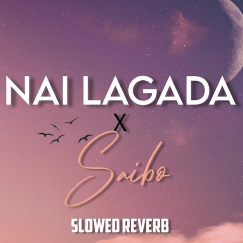 Nai Lagda x Saibo (Slowed & Reverb)