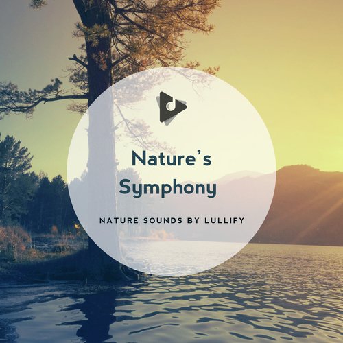 Chillin in the Cave of Nature cover art