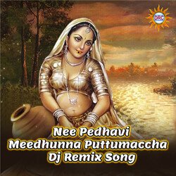 Nee Pedhavi Meedhunna Puttumaccha (Dj Remix)-FhwHfj1IRlk