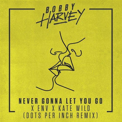 Never Gonna Let You Go (Dots Per Inch Remix)_poster_image