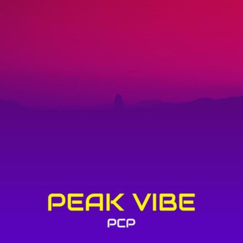 Peak Vibe_poster_image