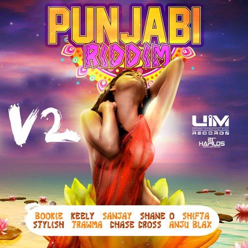 Punjabi Riddim Vol. 2