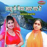 Sasu Ke Bhaiya Aaye Gaye Hain