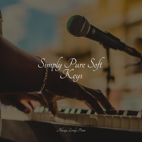 Simply Pure Soft Keys