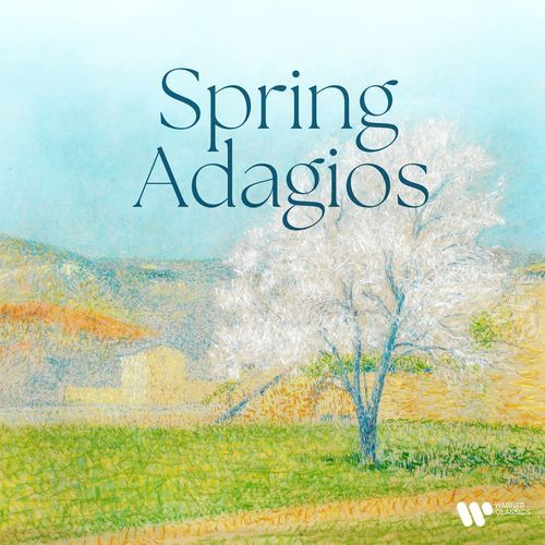 Bassoon Concerto in F Major, Op. 75, J. 127: II. Adagio (Transc. M. Nakariakov for Trumpet and Orchestra)