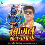 Swagat Bhole Baba Ke