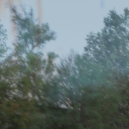Whisky (Acústico en Vivo) cover art