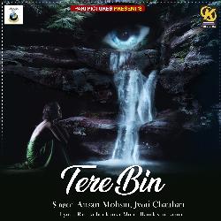 Tere Bin-MSENcw5oVVs