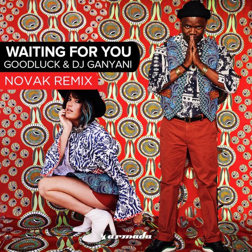 Waiting For You (Novak Remix)_poster_image