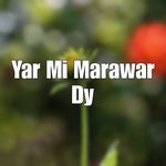 Yar Mi Marawar Dy