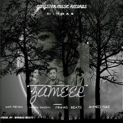 Zameer-JSkGewBSdEo