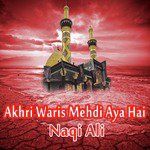 Akhri Waris Mehdi Aya Hai