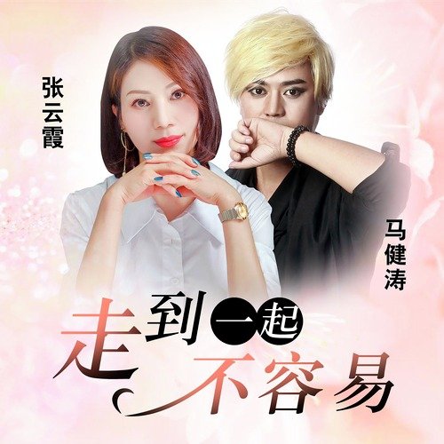 走到一起不容易 cover art