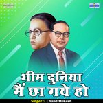 Bheem duniya main chha gaye ho (Hindi)