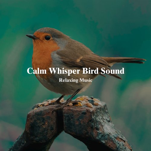 Calm Whisper Bird Sound