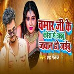 Chamar Ji Ke Kora Me Aibu Jawan Ho Jaibu