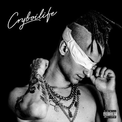 Cryboilife