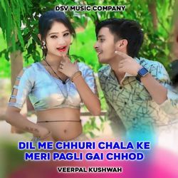 Dil Me Chhuri Chala Ke Meri Pagli Gai Chhod-Ah1aUDUHeXA