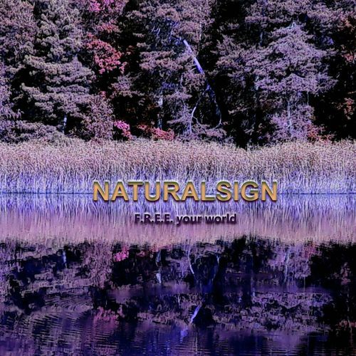 Mellowrain (Remastered 2025) cover art