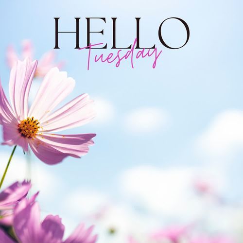 Hello Tuesday