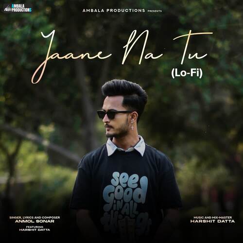 Jaane Na Tu (Lo-Fi) feat. Harshit Datta